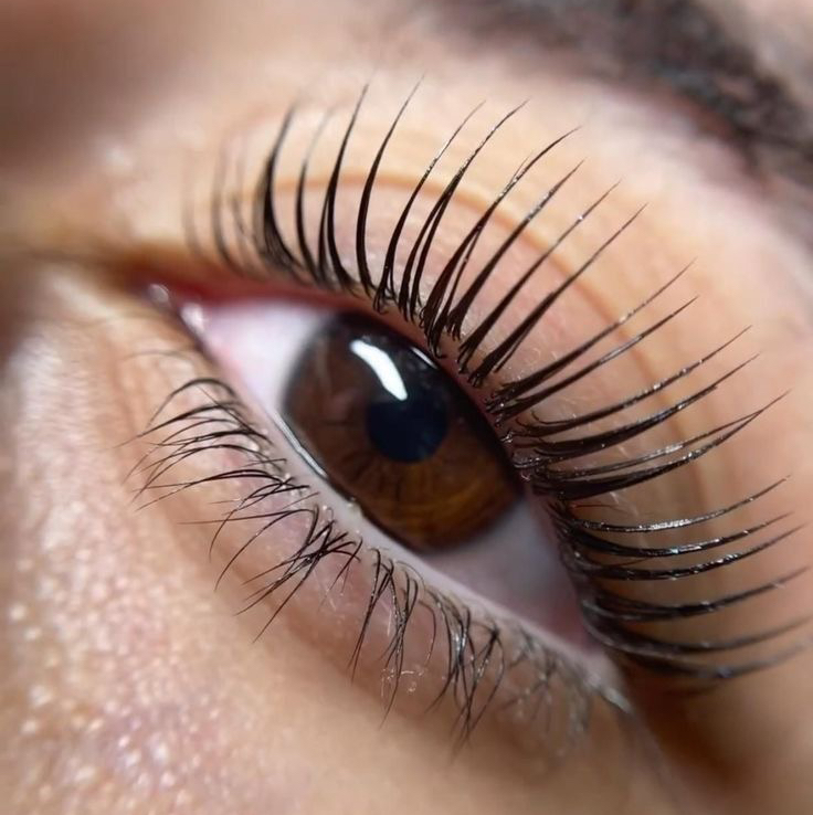 Архитектура бровей/ресниц работа 7