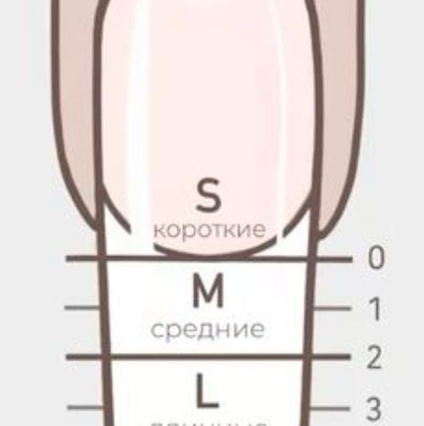 Наращивание (длина 1-3)