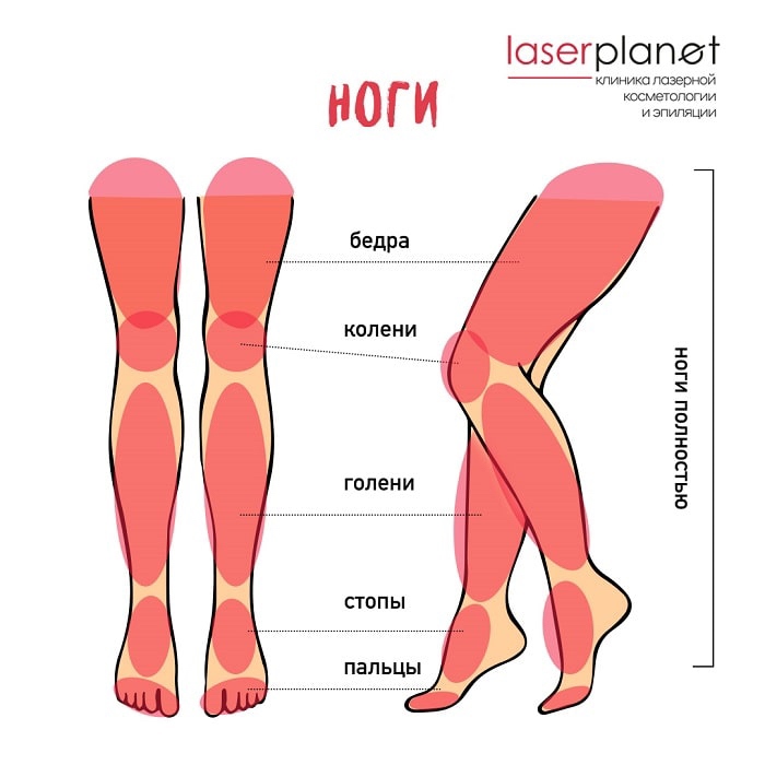 Ноги полностью