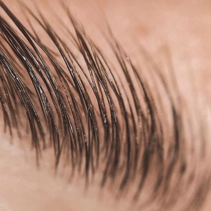 Ламинирование бровей + коррекция или окрашивание