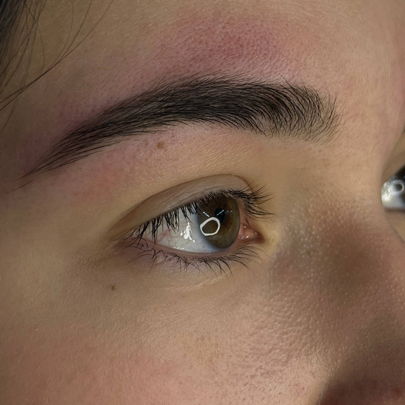 Архитектура и окрашивание бровей краской