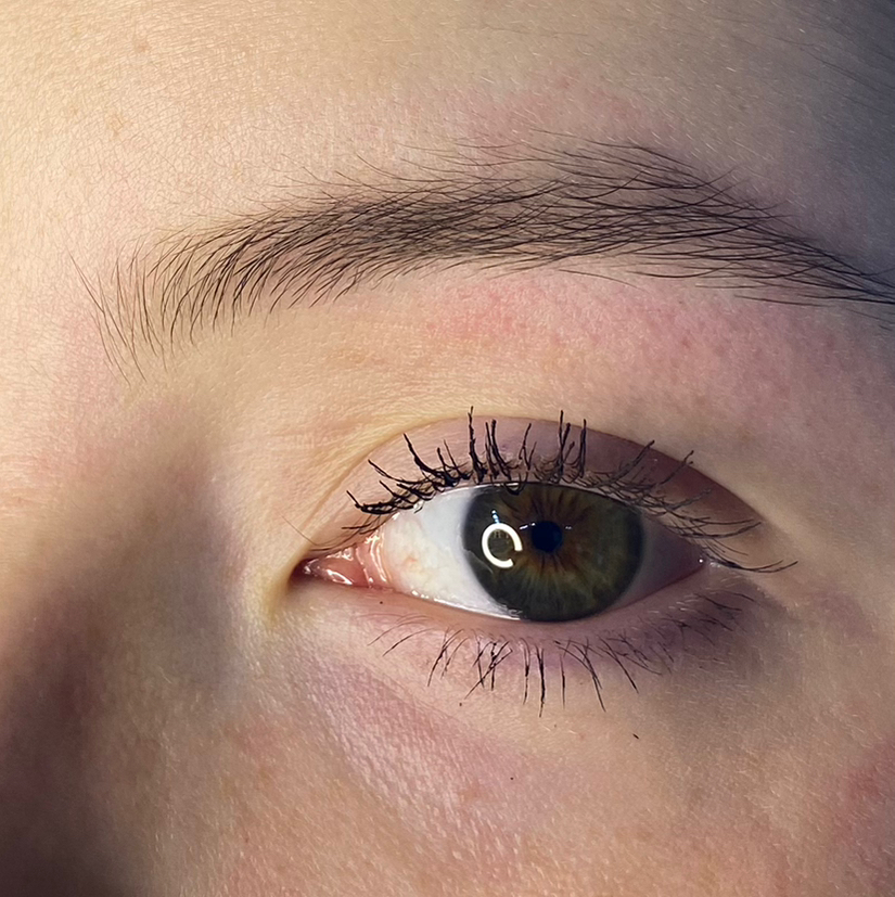 Комбо: Ламинирование бровей и ресниц (консультация в подарок)