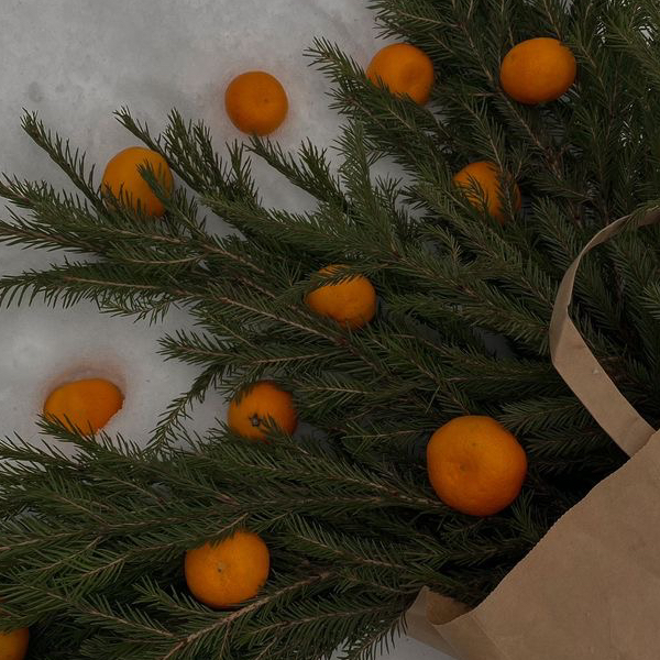 Зимний Detox: антистресс для волос 🎄 Длина до середины лопаток