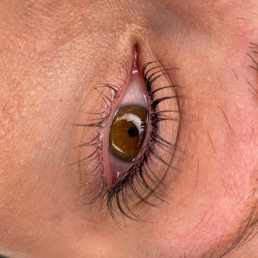 Ресницы ✅Ламинирование ✅окрашивание ✅ботокс 🎁