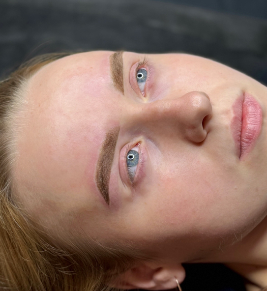 Рефреш перманентного  макияжа бровей/губ через время моей работы ( второй раз и далее)