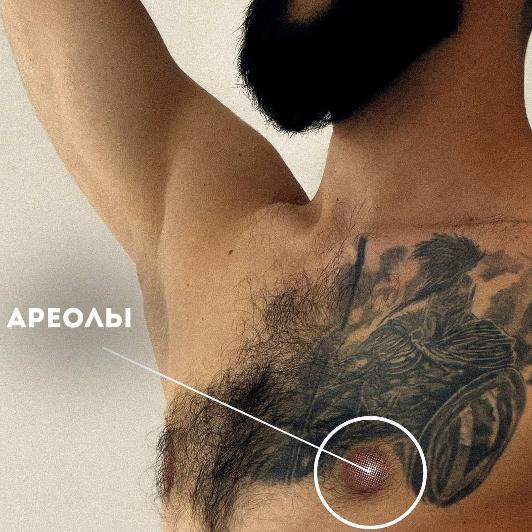 Ареолы (муж)