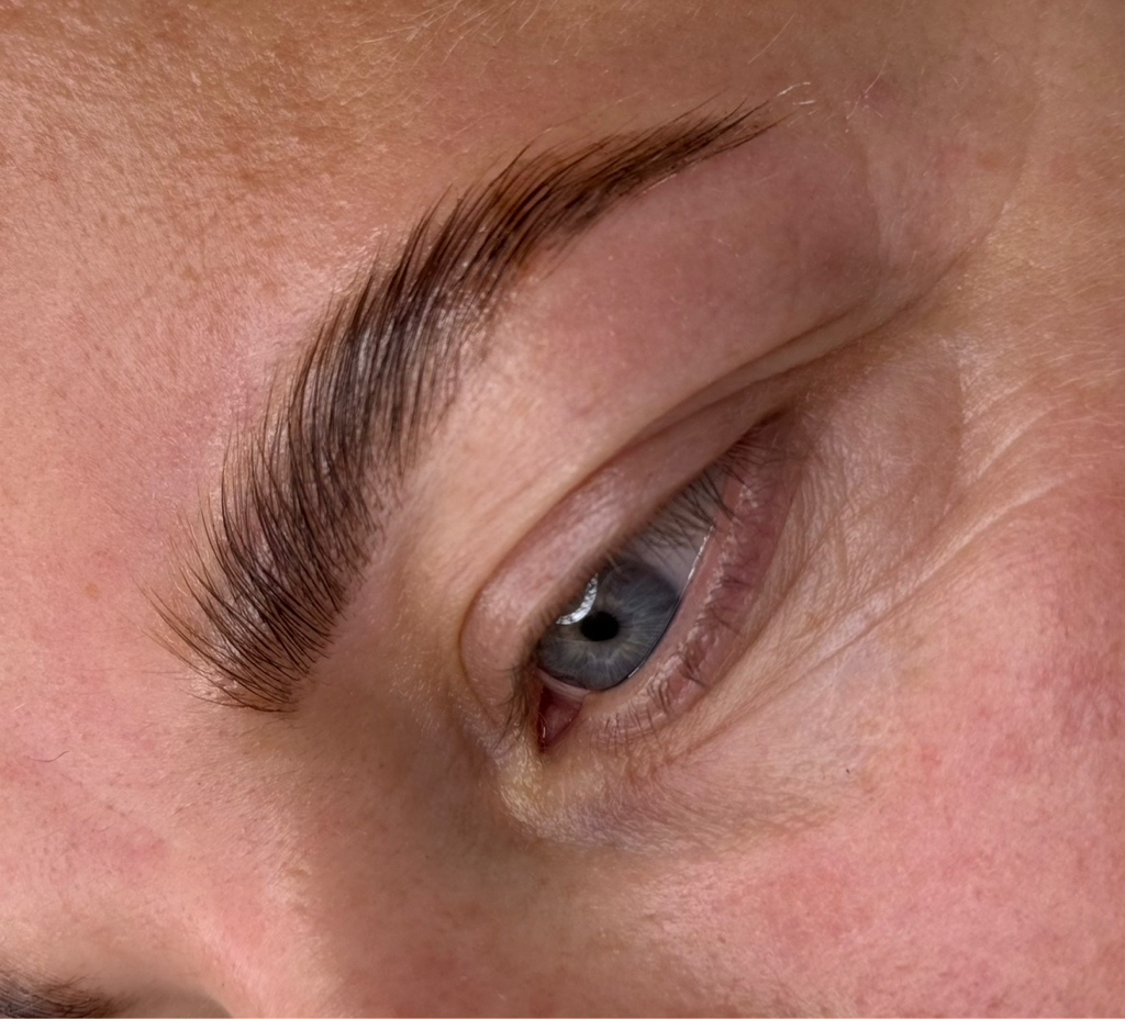 Laminating brows (shape,coloring and lami)