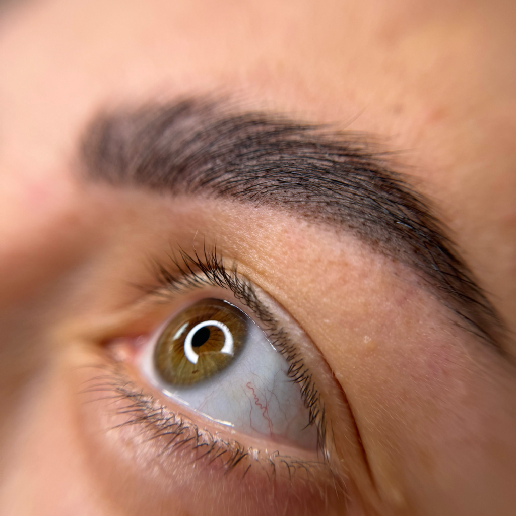 Eyebrows tint +shape