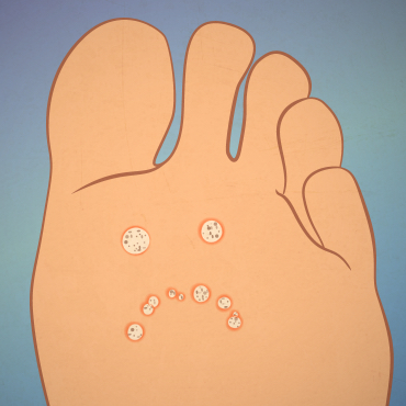 Комплекс «Оптимум» — 3 элемента