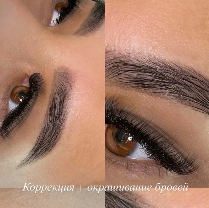 Коррекция + окрашивание бровей