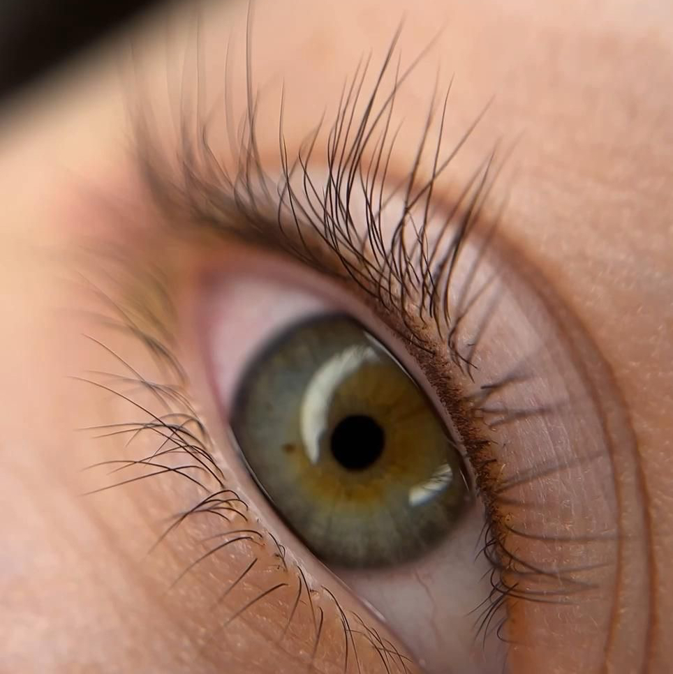 Процедура Botox Lashes (ботокс для ресниц)