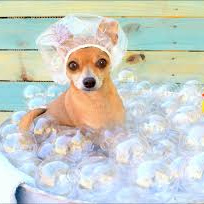 Применение маски (озон) для средних собак