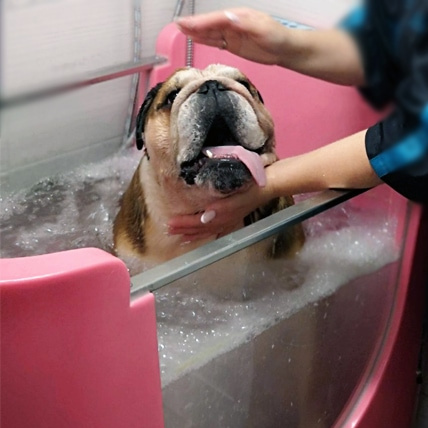 Озонотерапия