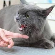 Доплата за агрессию +100% к стоимости услуги