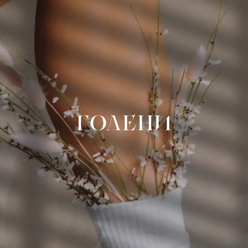 Голени