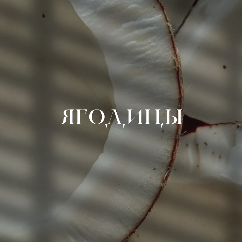 Ягодицы