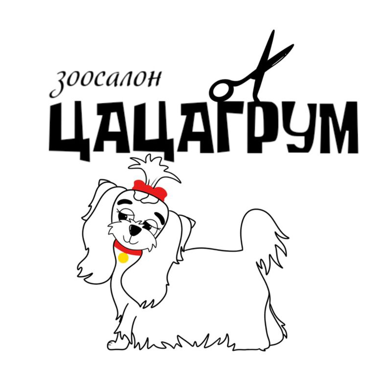 Шиншила :комплекс
