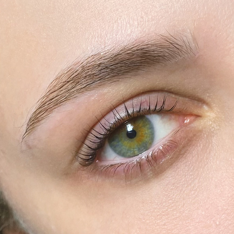 Оформление + окрашивание бровей