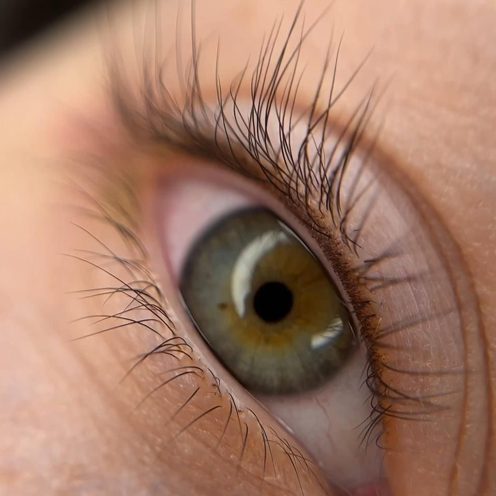 Ламинирование ресниц + ботокс (Botox Lashes)