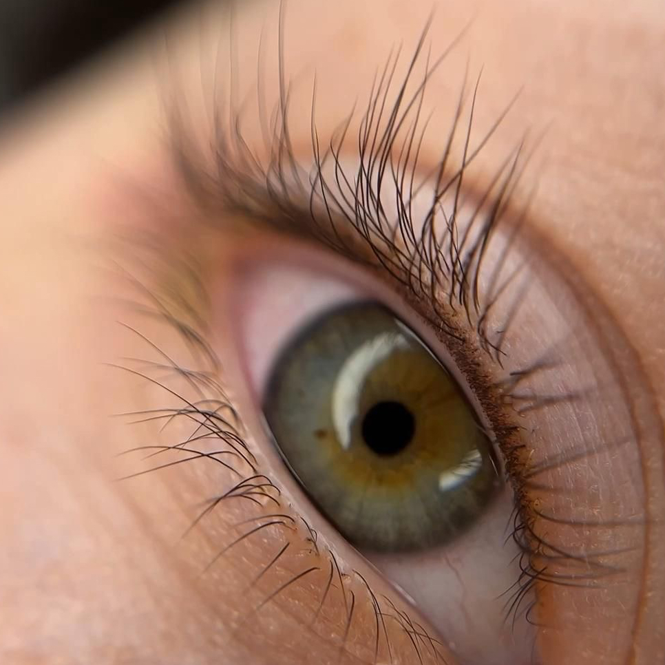 Окрашивание ресниц краской