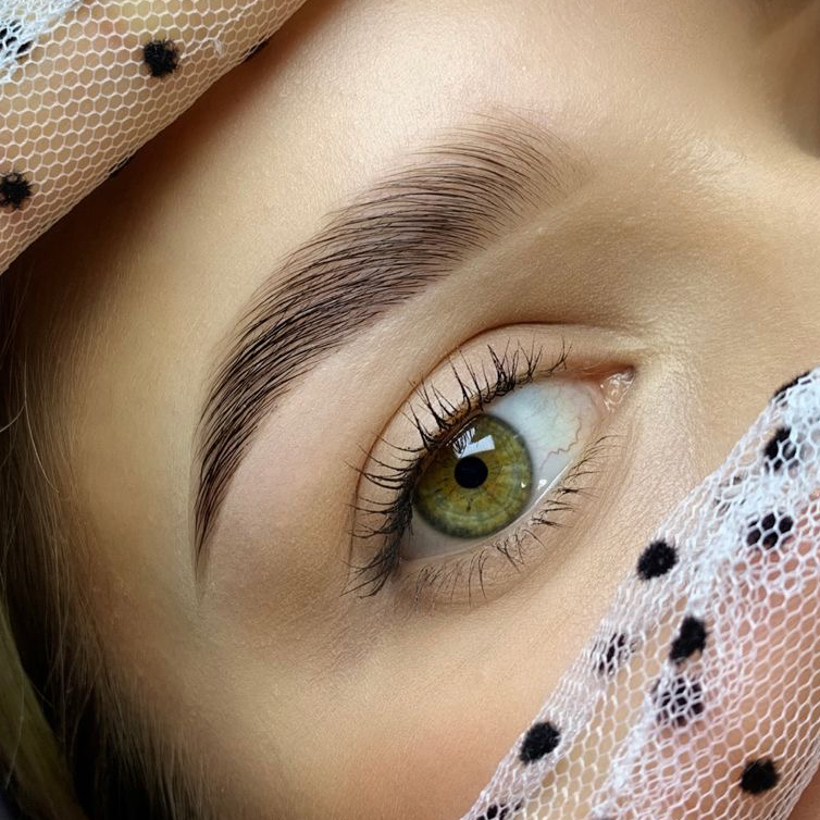 Архитектура бровей