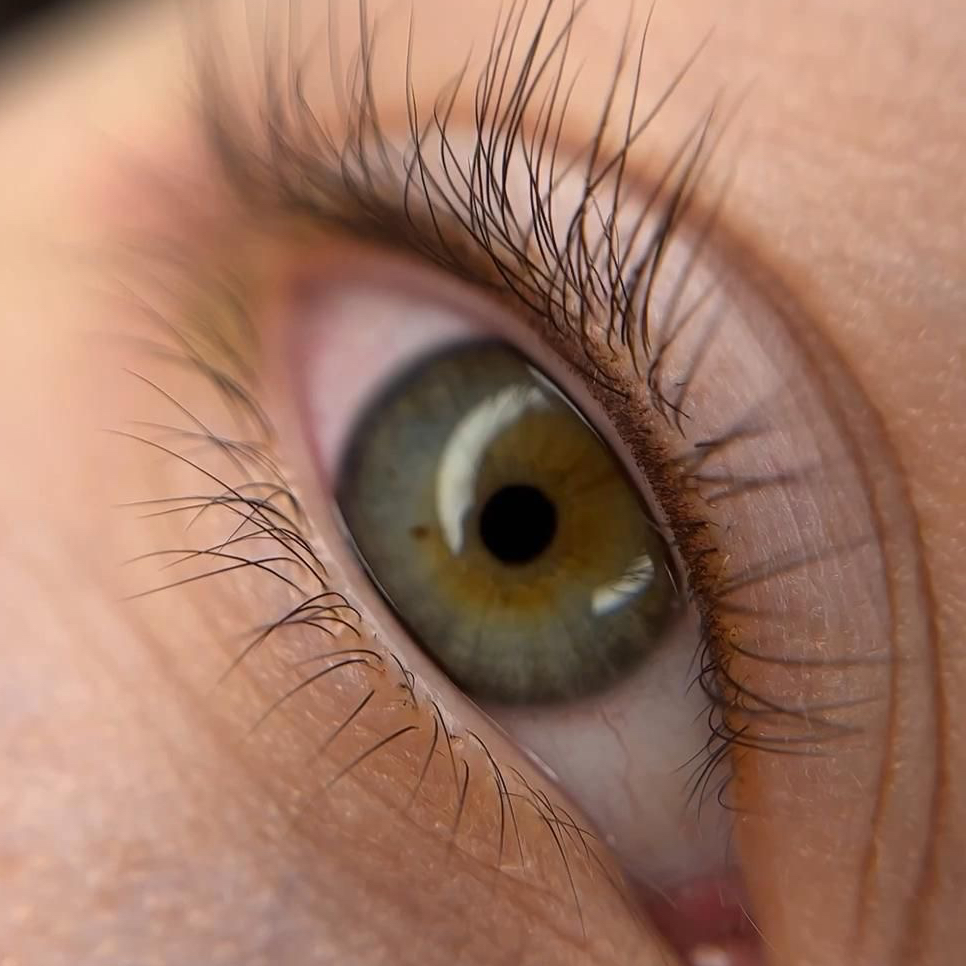 Ламинирование ресниц ( окрашивание ресниц включено)