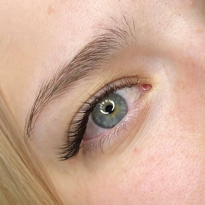 1,5 d