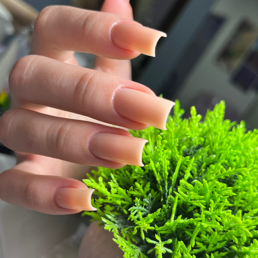 «Топ мастер» Комбинированный маникюр без покрытия