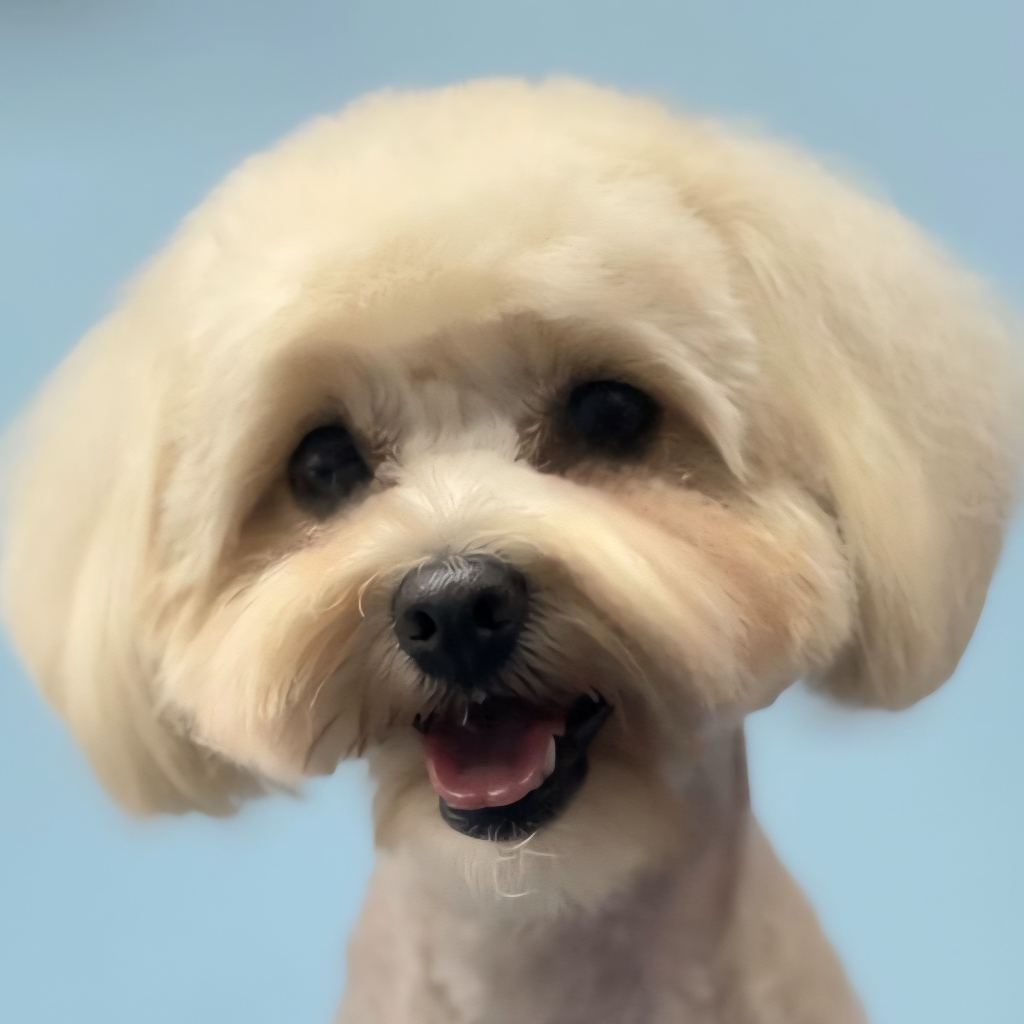 Кавапу   Комплекс