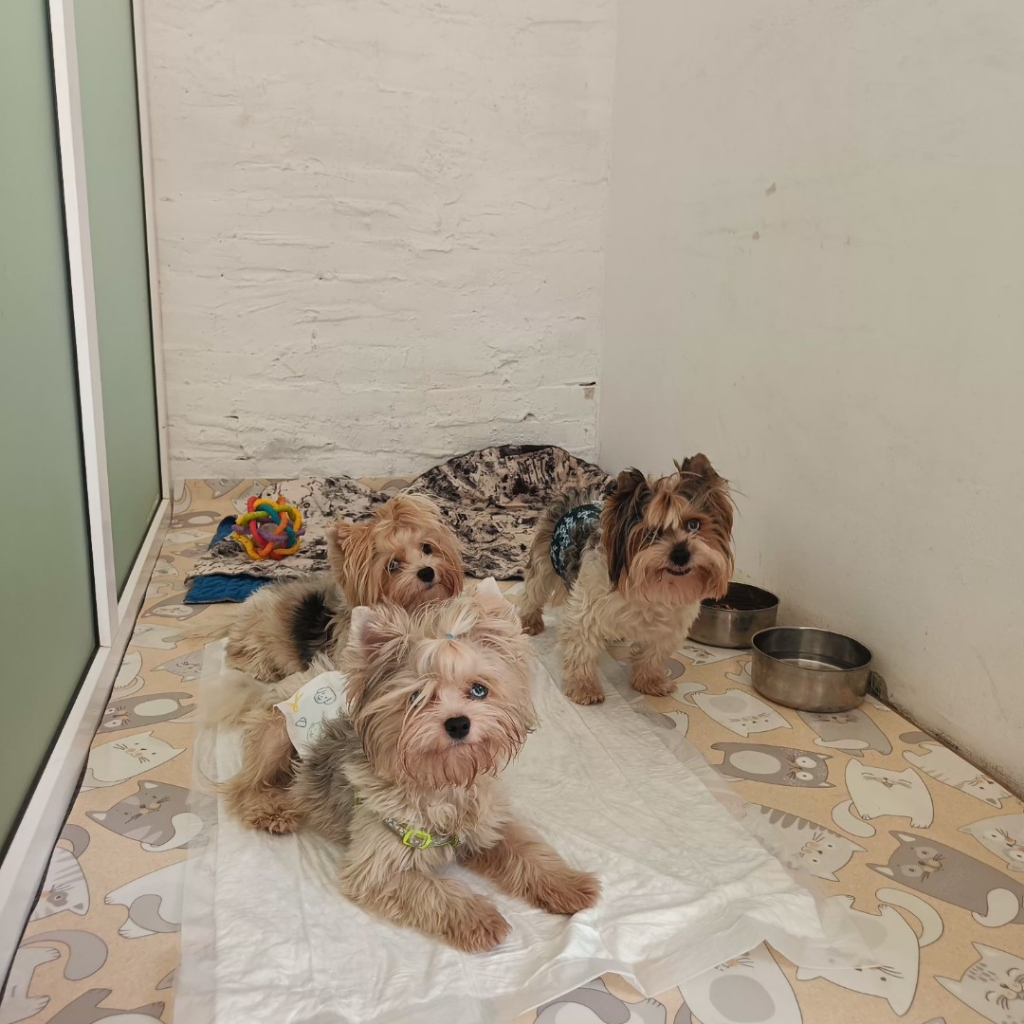 Забронировать номер эконом