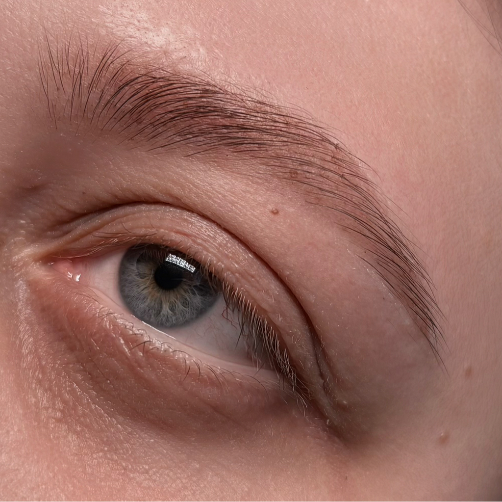 Коррекция + окрашивание бровей