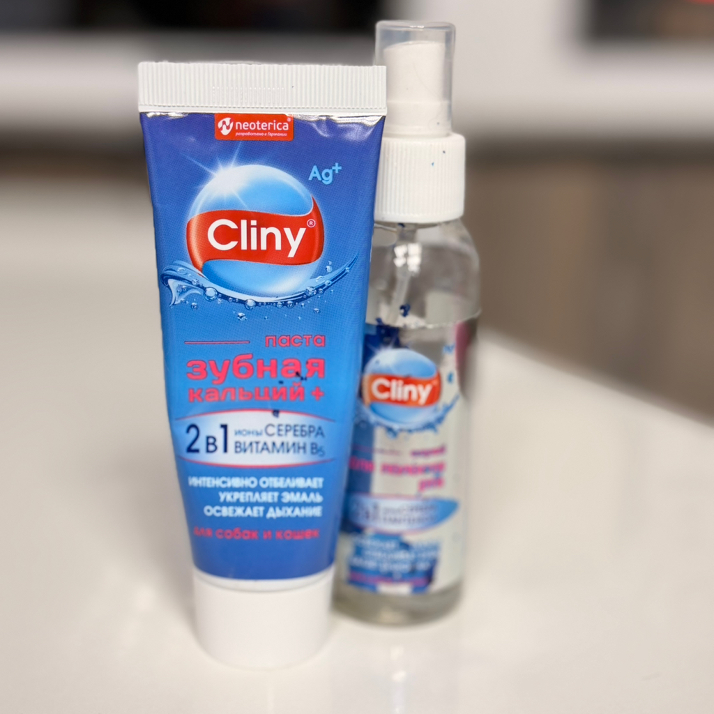 Шпиц Чистка Зубов