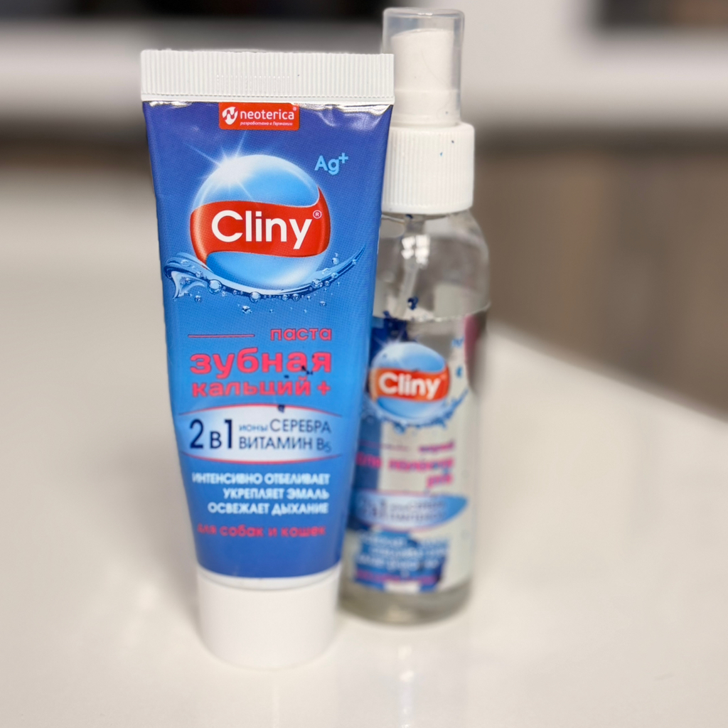 Йорк/Бивер Чистка зубов