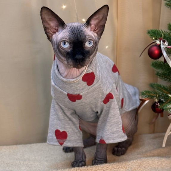 Премиум СПА для бесшерстных пород кошек