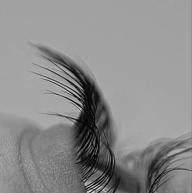 Обучение наращиванию ресниц с нуля  ( базовый курс 3 дня с отработкой на модели)  Обучение классики , 2д, мокрый эффект