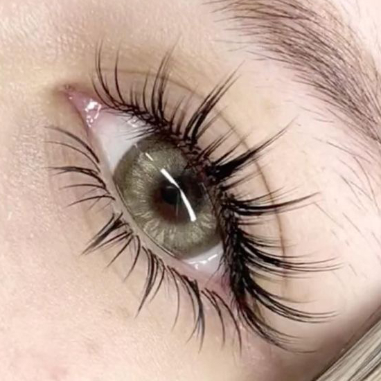 Медуза/Кайли/Конусы