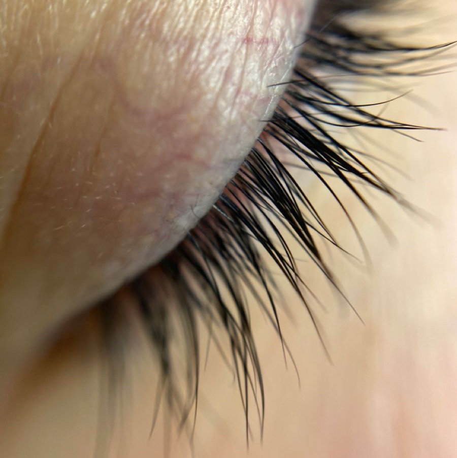 окрашивание бровей/ресниц