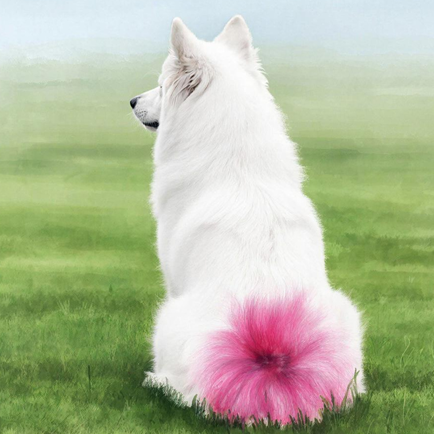 Окрашивание шерсти