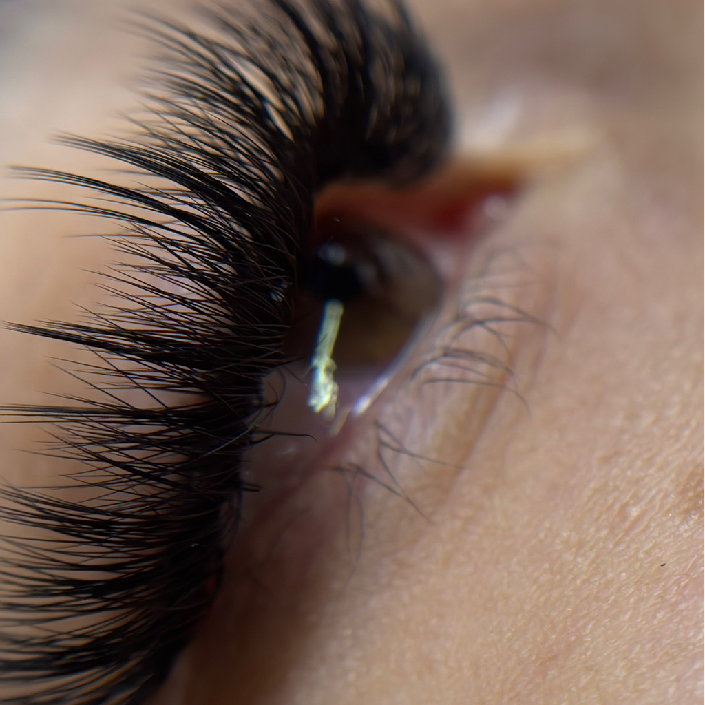 Американка