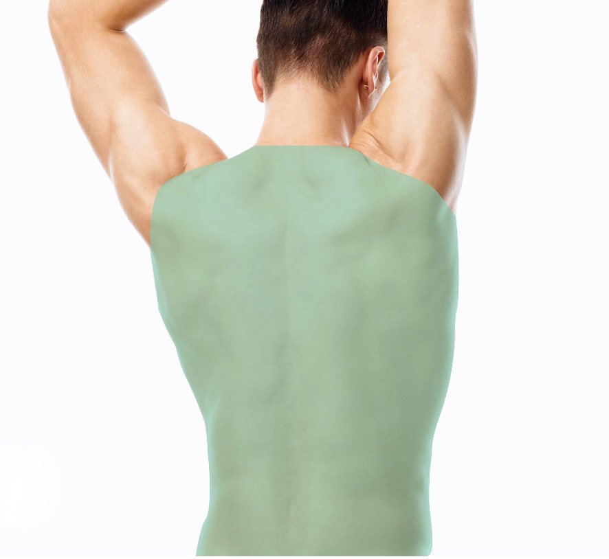 Спина целиком