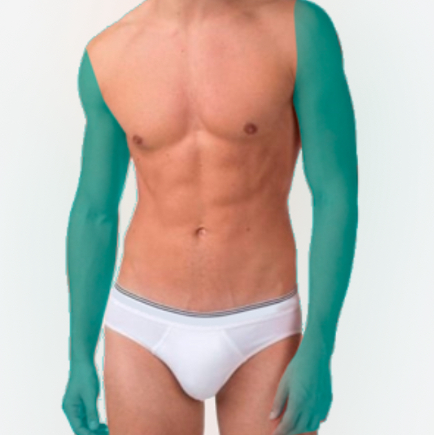 Руки целиком