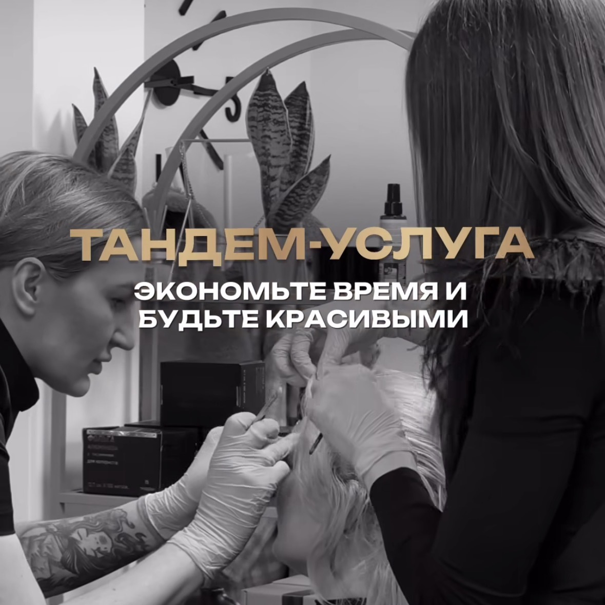 Комплекс ( мелирование+стрижка+корекция и окрашивание бровей)