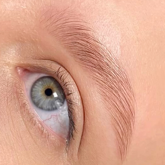 Долговременная укладка бровей (без окрашивания)