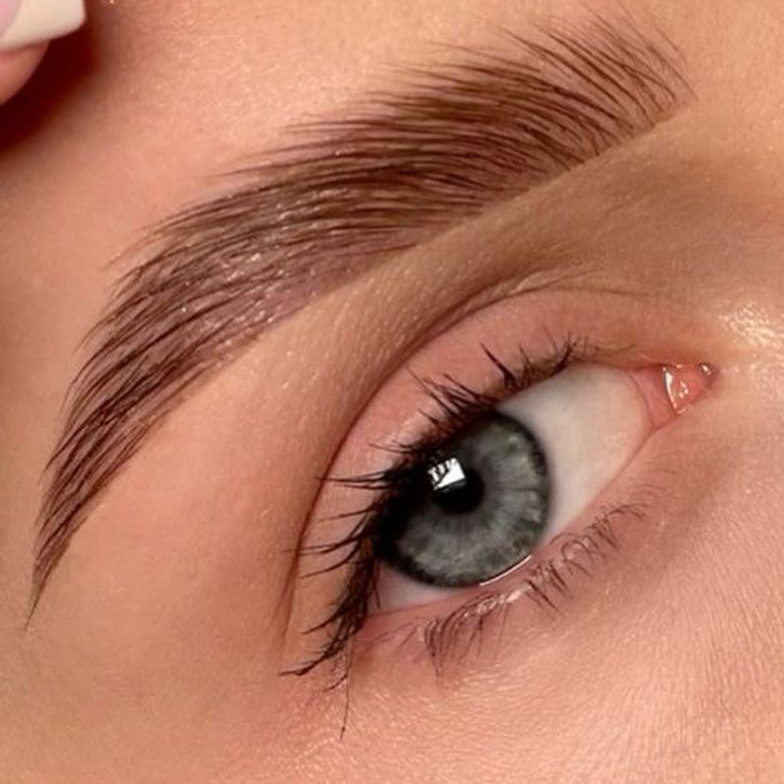 Архитектура бровей