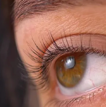 Ламинирование ресниц с окрашиванием и ботокс