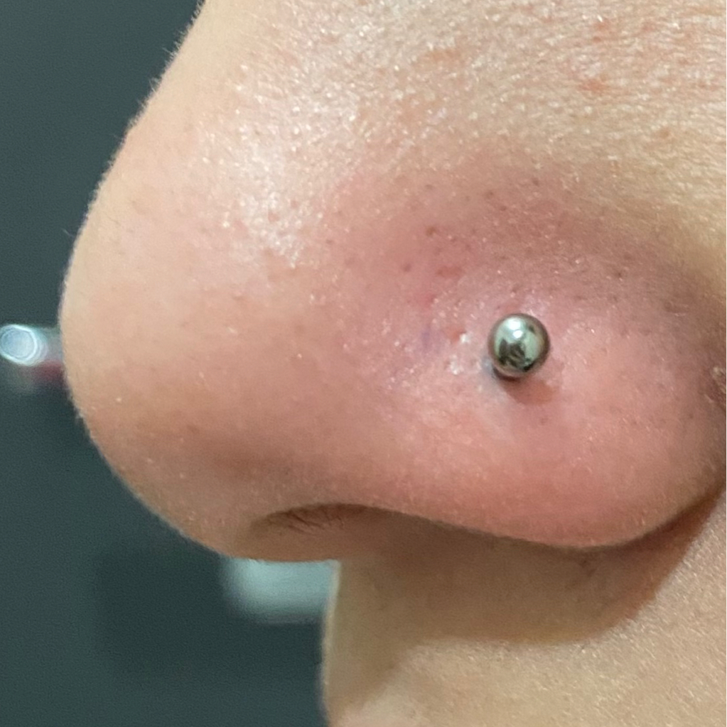 Пирсинг крыла носа