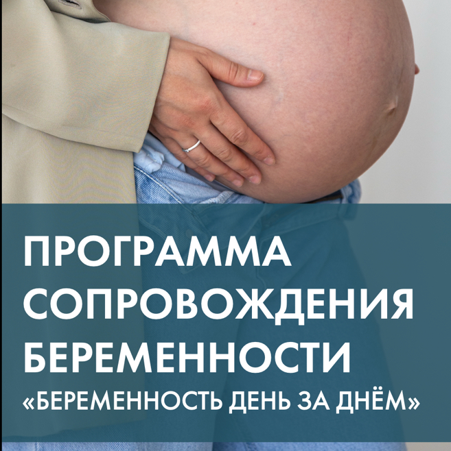 Индивидуальное сопровождение  беременности «день за днём»
