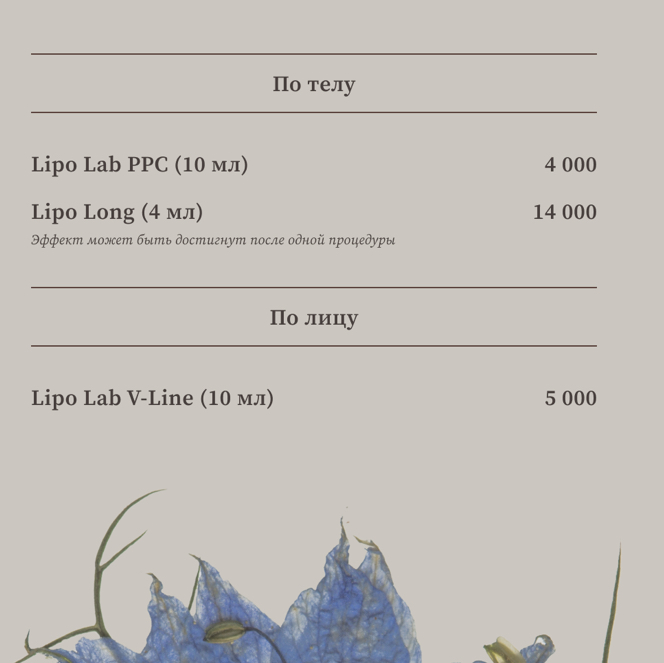 Липолитики