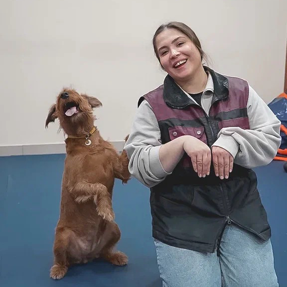 Занятие без хозяина (50 минут)