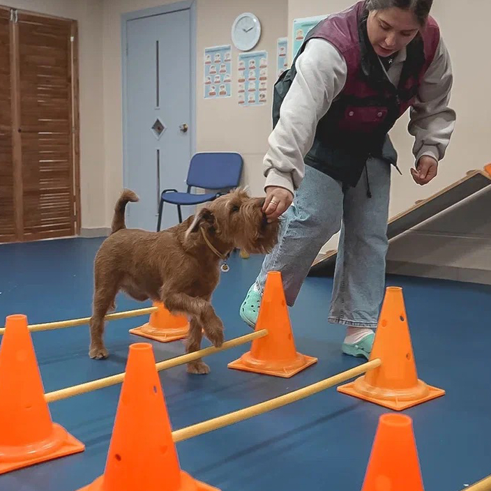 Индивидуальное занятие (50 минут)